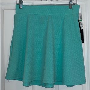 Mint Green Skirt Size:L NWT